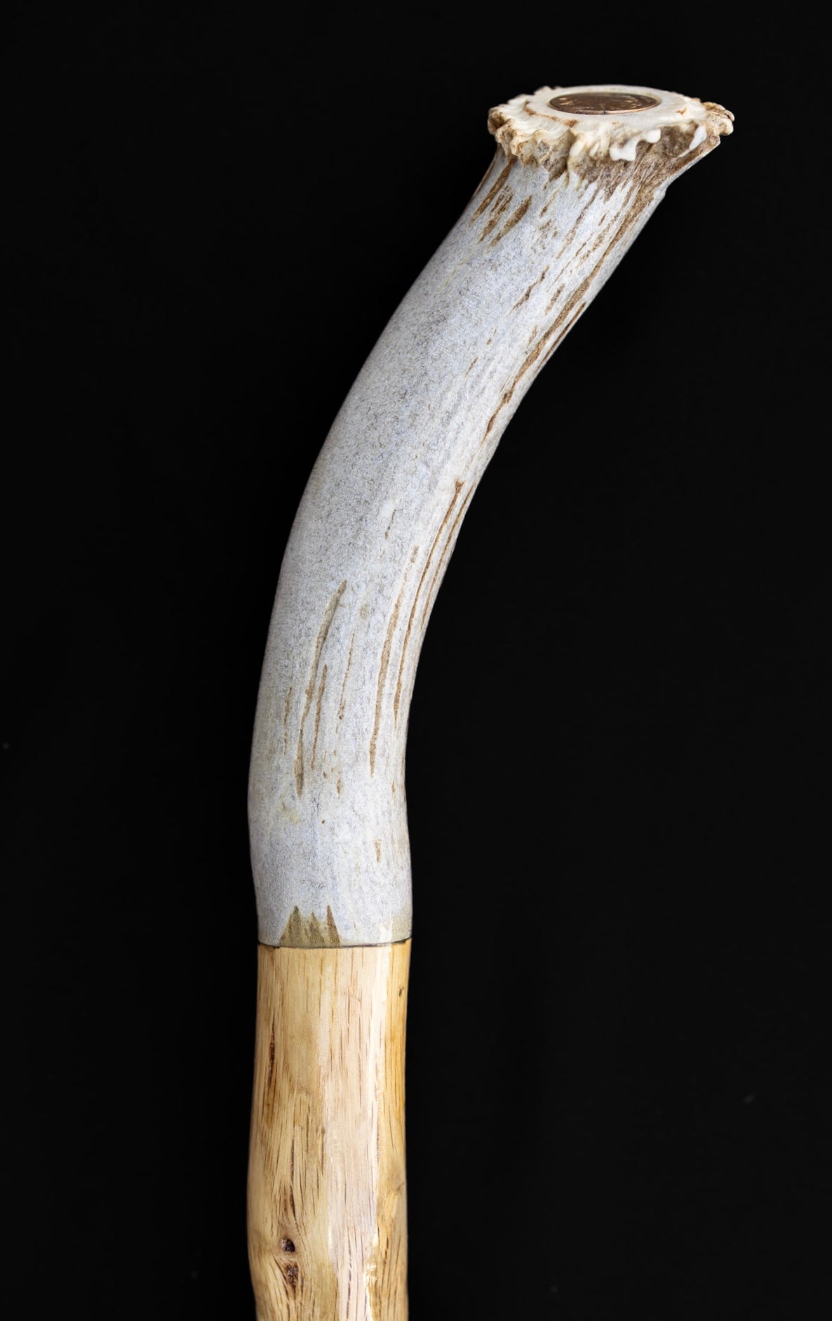 Sticks by Kearney