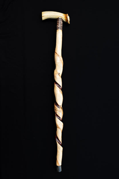 Canes by Kearney