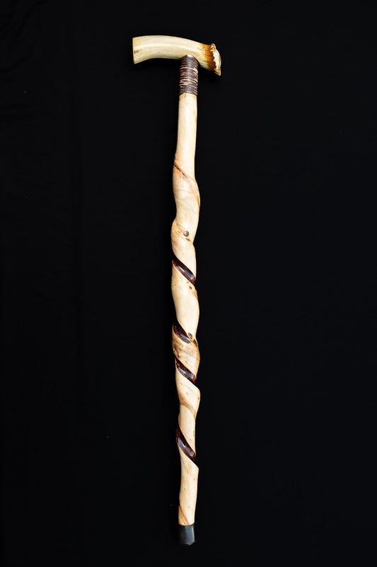 Canes by Kearney