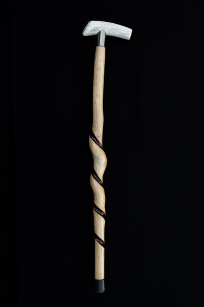 Canes by Kearney