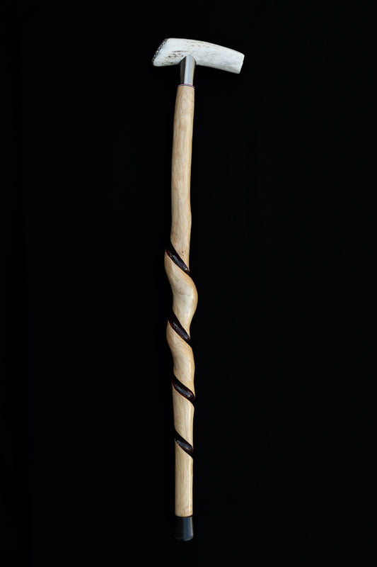 Canes by Kearney