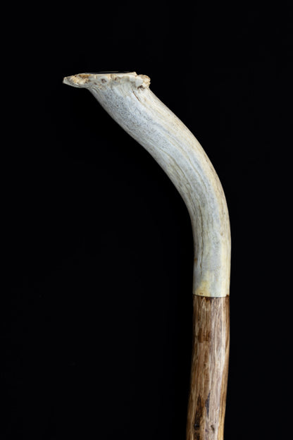Sticks by Kearney